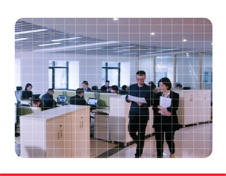 �����ɲ�